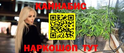 крисы Волжский